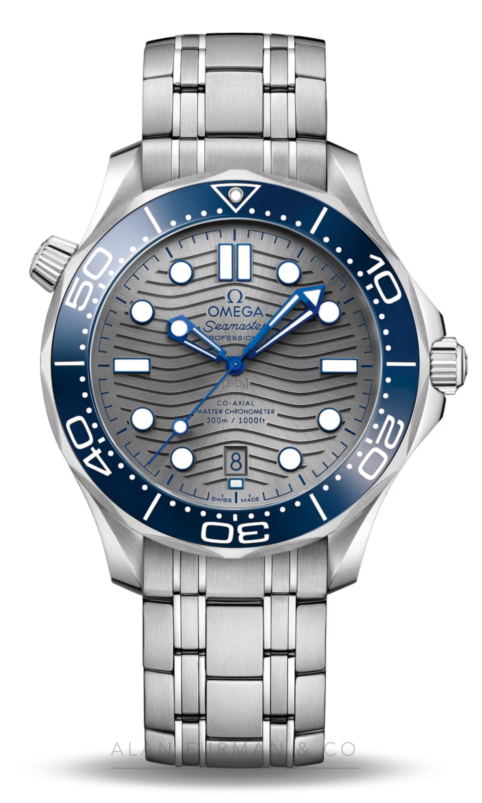 Omega Seamaster Diver 300M (Ref. 210.30.42.20.06.001)